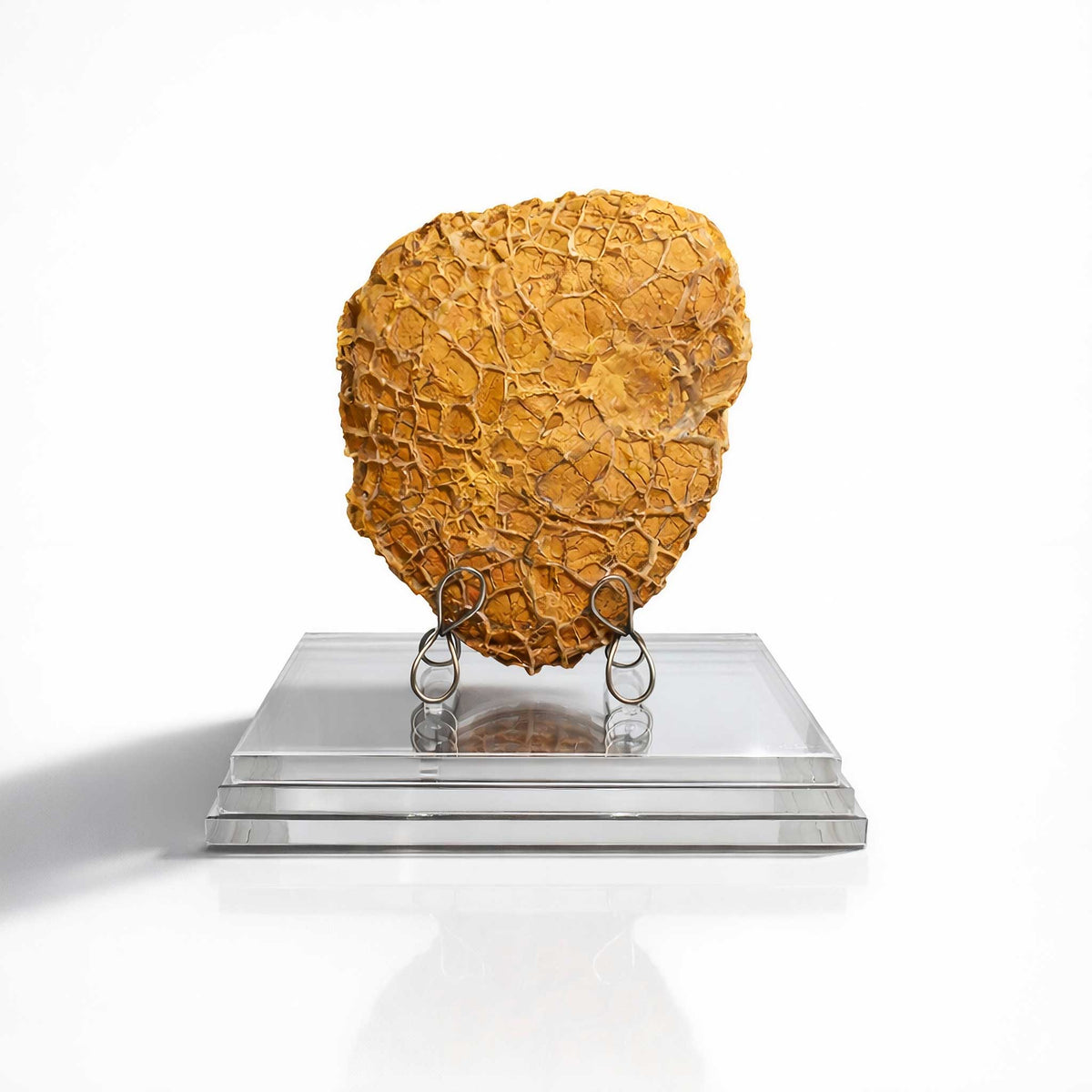 Textured yellow object on a clear stand against a white background